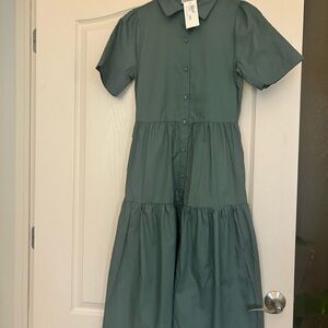 Evereve Dress in Forest Green
